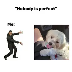 "Nobody is perfect"