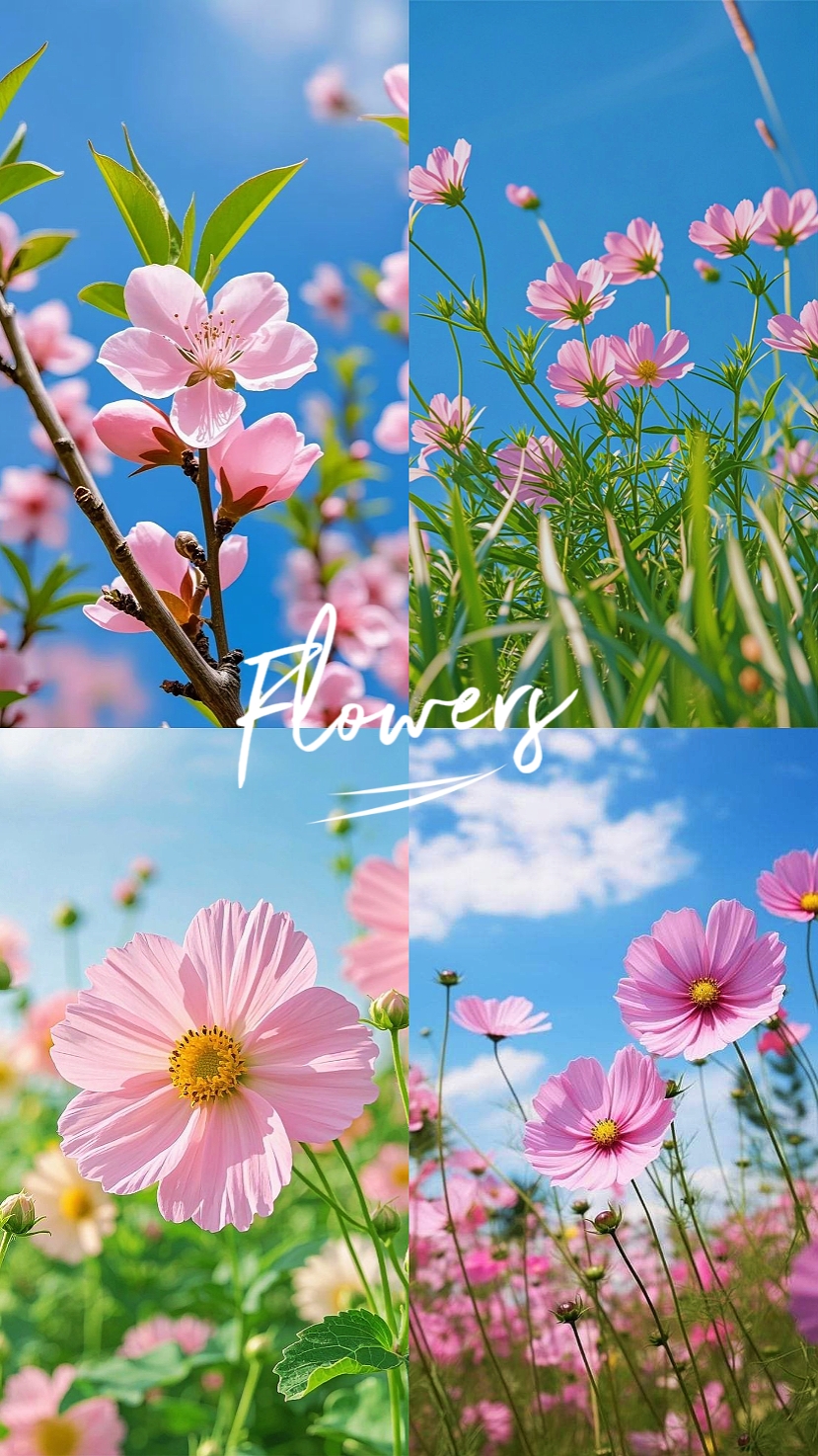 BLUMEN