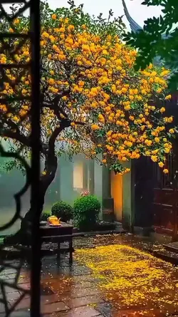 Kamis Berkah 