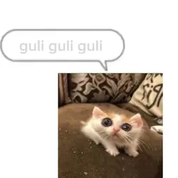 linggang guli guli