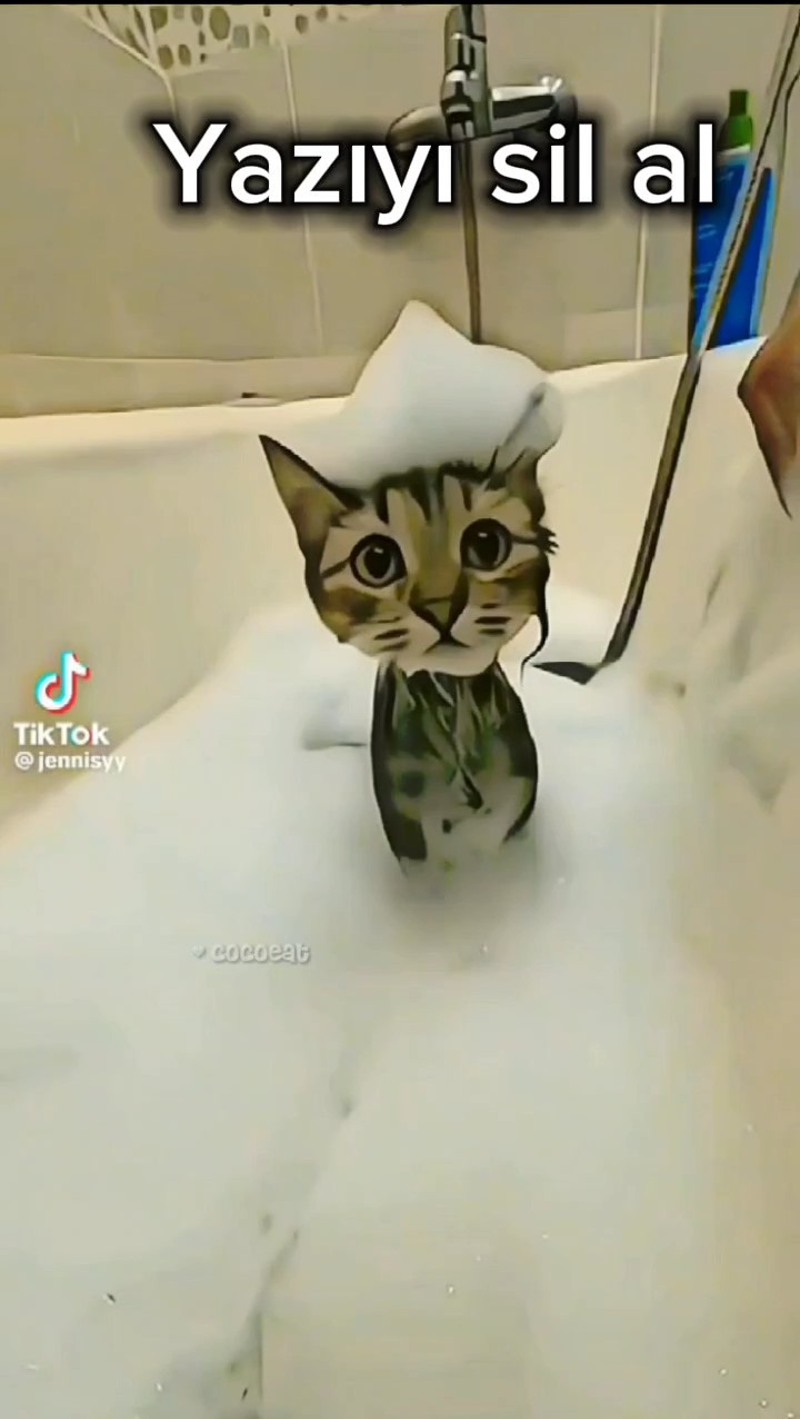 Tekrar yaptım alın