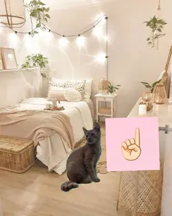 Le chat a pt le vase