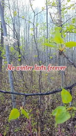 Nature vlog Spring