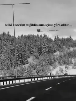 yolcu 