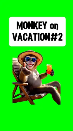 MONKEY on VACATION