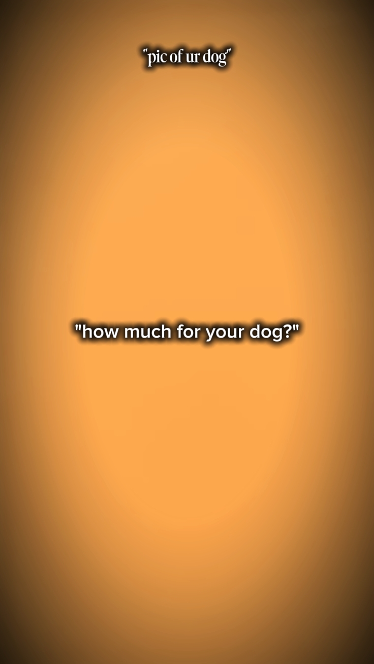 WIE VIEL FÜR IHREN HUND 