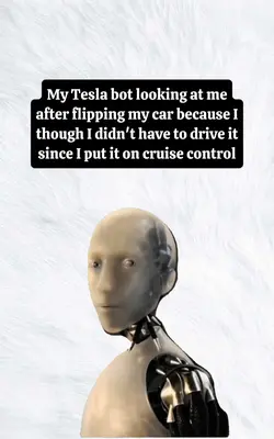 My Tesla bot looking