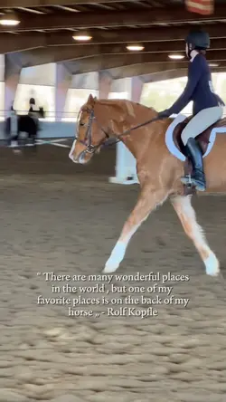 💐 | ‼️FAKE HORSE‼️