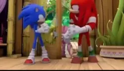 Sonic and knucks cor