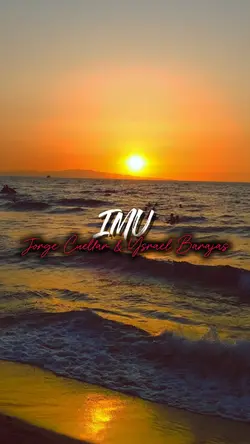 IMU