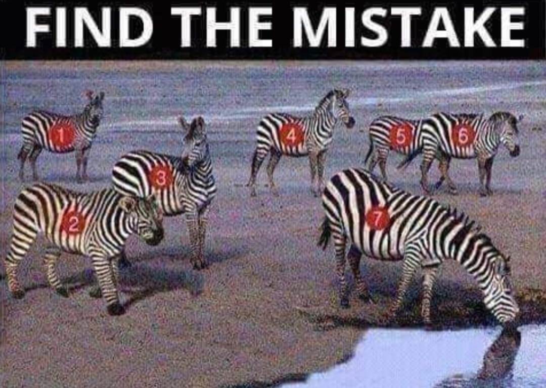find the mistake 