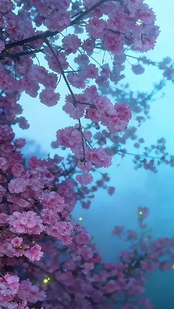 3D Wallpaper