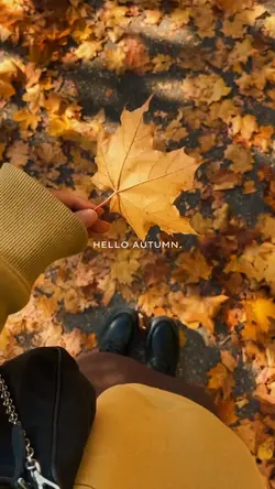 Hello Autumn