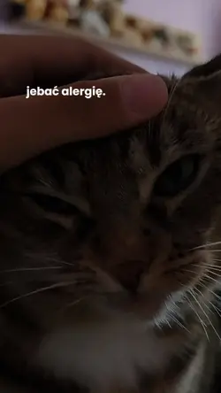 jebać alergię.