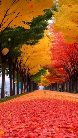 🛵SUGIちゃんネル🛵