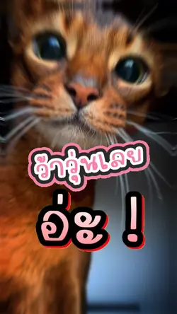 แม่บอกเอาไปปล่อยวัด