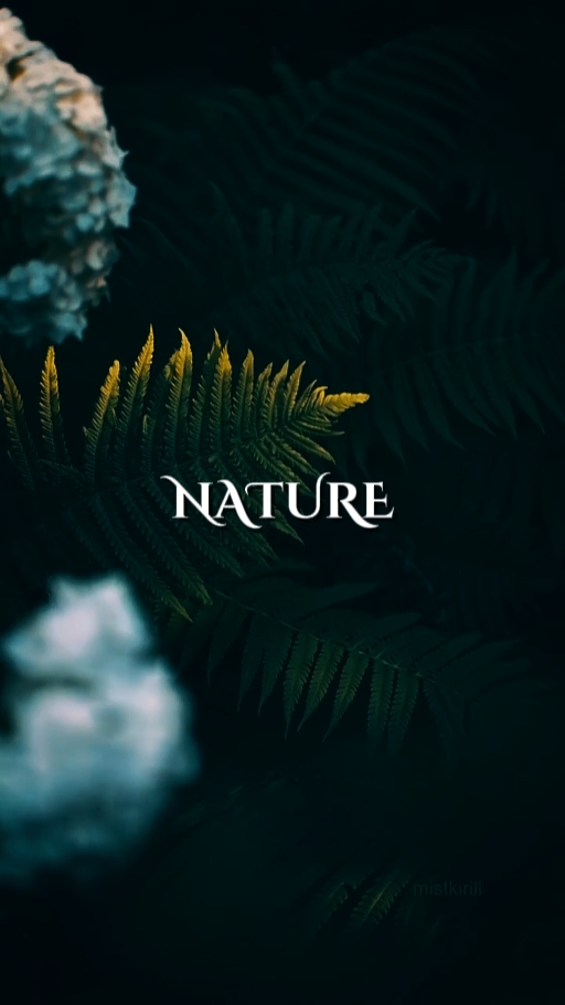 NATURE
