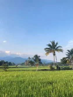 Tentang Bersyukur