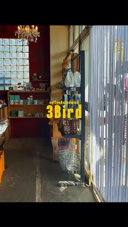 【cafe】モデル3Bird（余市）