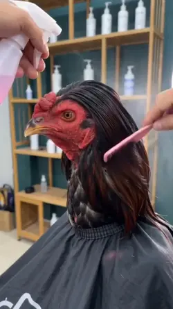 barbershop
