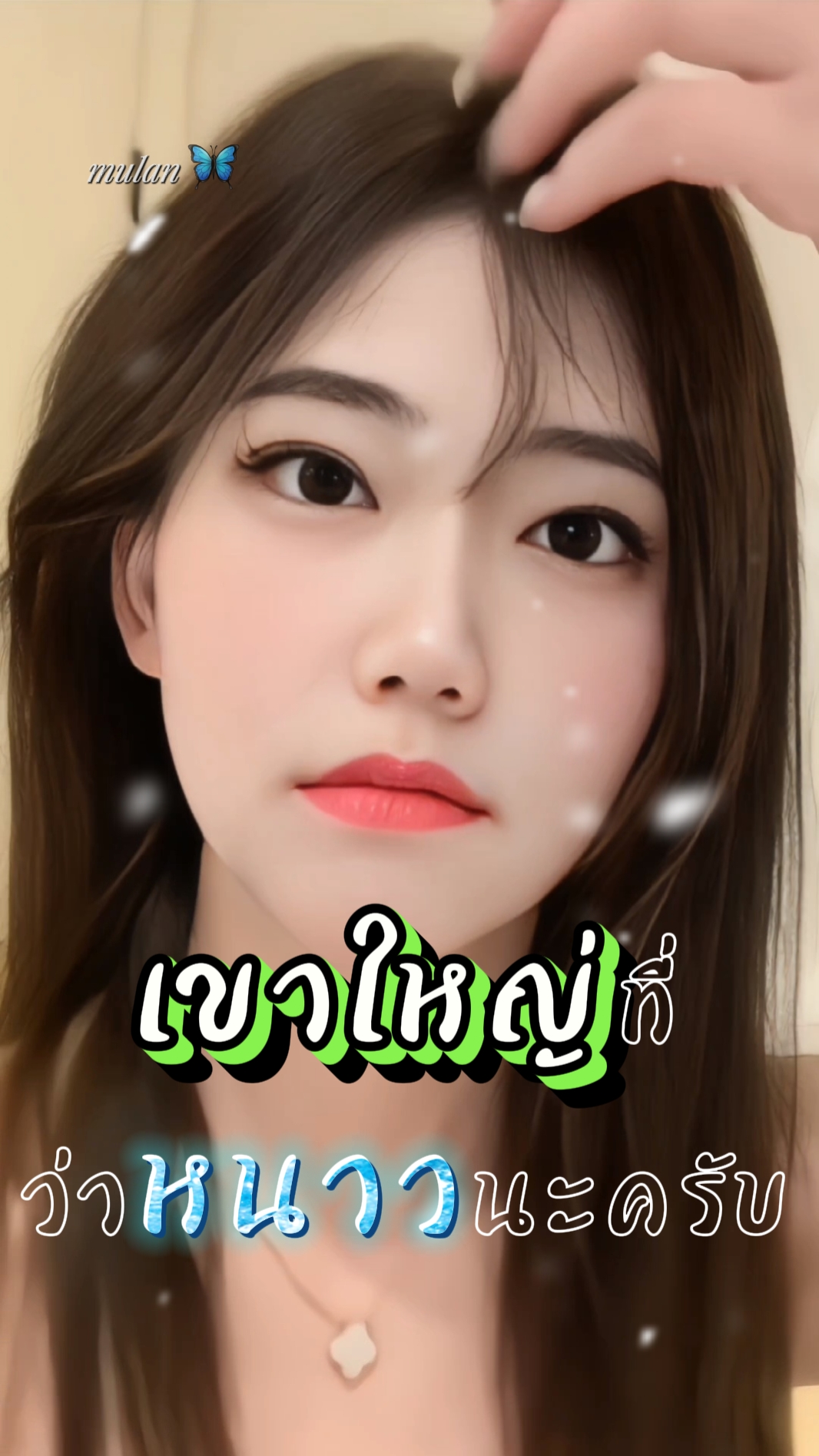 เขาใหญ่ที่ว่าหนาว