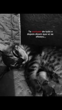 te exclui de tudo