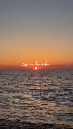 Life in december 
