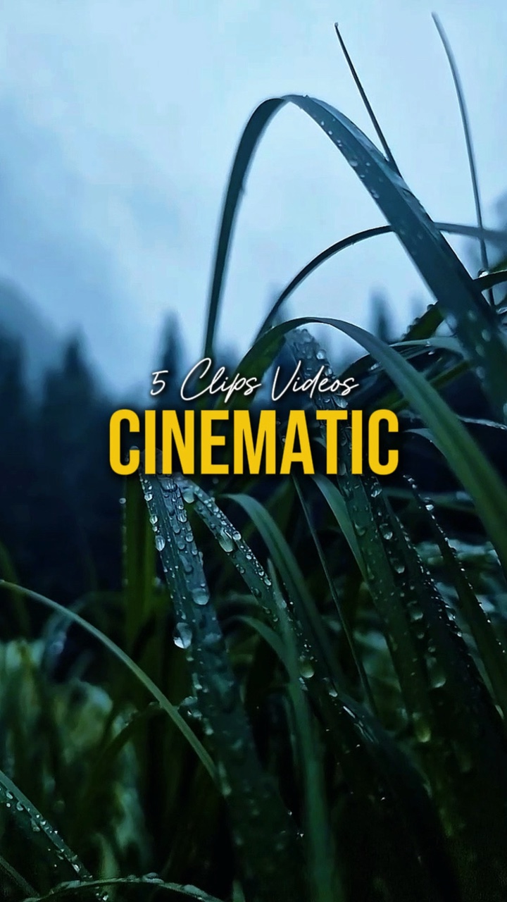 Cinematic 5 Videos 