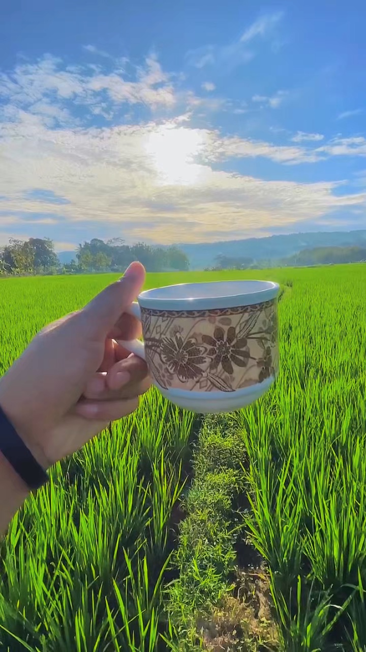 filter cerah 2 video
