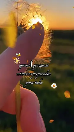 Frases bonitas 🫶✨❤️🔥