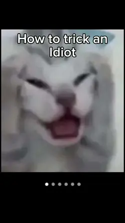 how to trick an idot