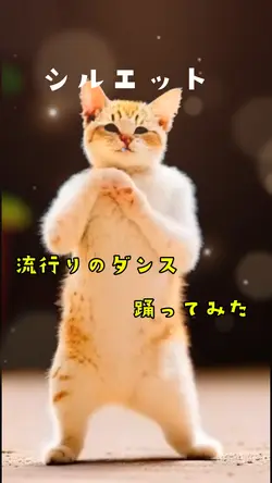 シルエットナルトダンス