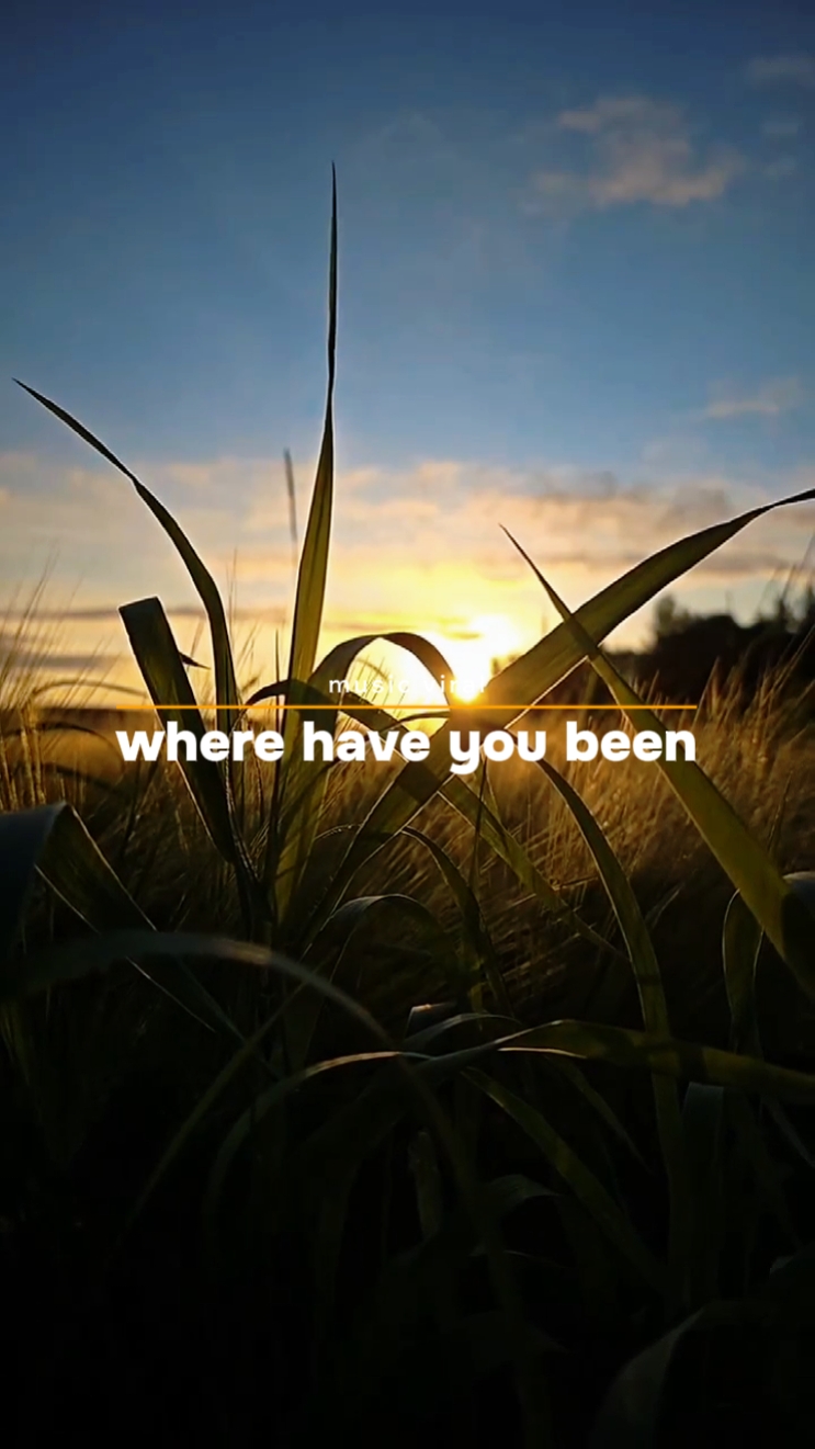 Where have you been