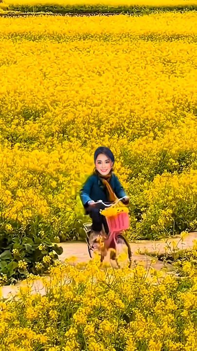 VI VU XE ĐẠP 