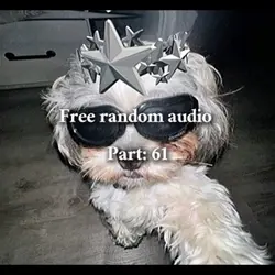 Free random audio 