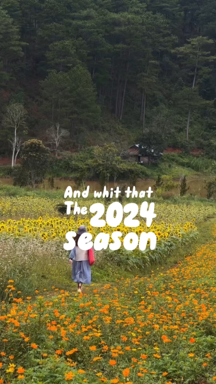 2024 요약