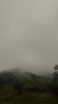 vibes kabut