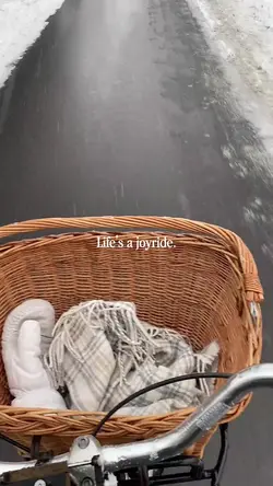 Life's a joyride 