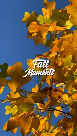 Fall Moments