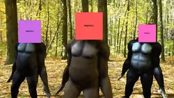 the three gorillas