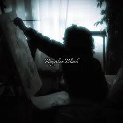 Regulus Black 