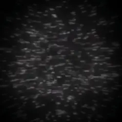 FLAMEFRAGS EDIT 