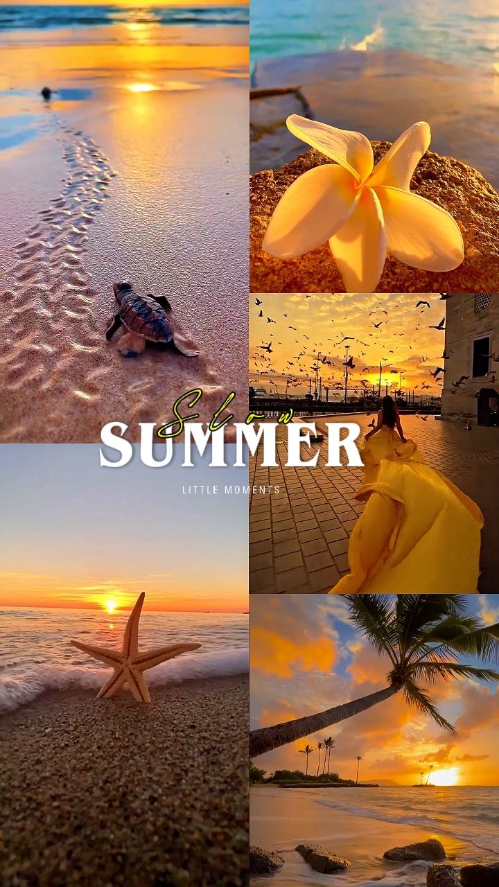 Langsamer Sommer