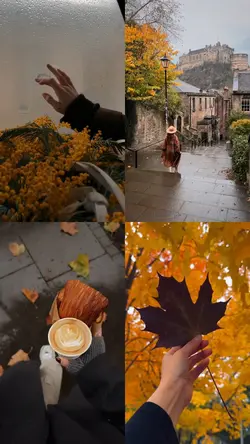 Autumn collage