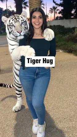 Tiger Hug