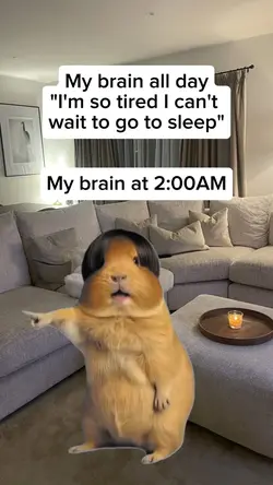 my brain all day
