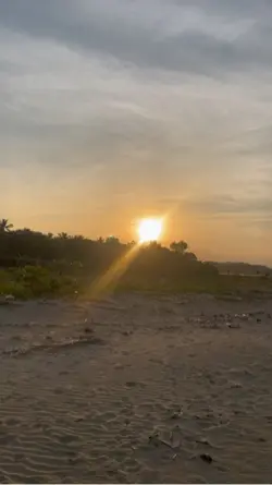 Beautiful Sunrise ✨
