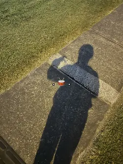 and when the seasons