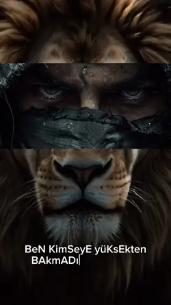 aslan lion 