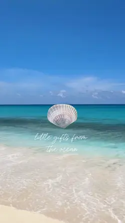 海からの小さな贈り物𓇼𓈒𓐍𓈒𓂂𓏸